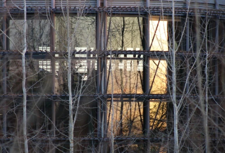 a zoo cage with the light shining through the bars of it