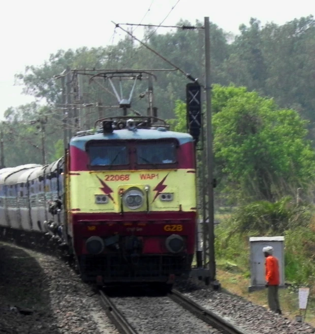 a train is going through the open forest