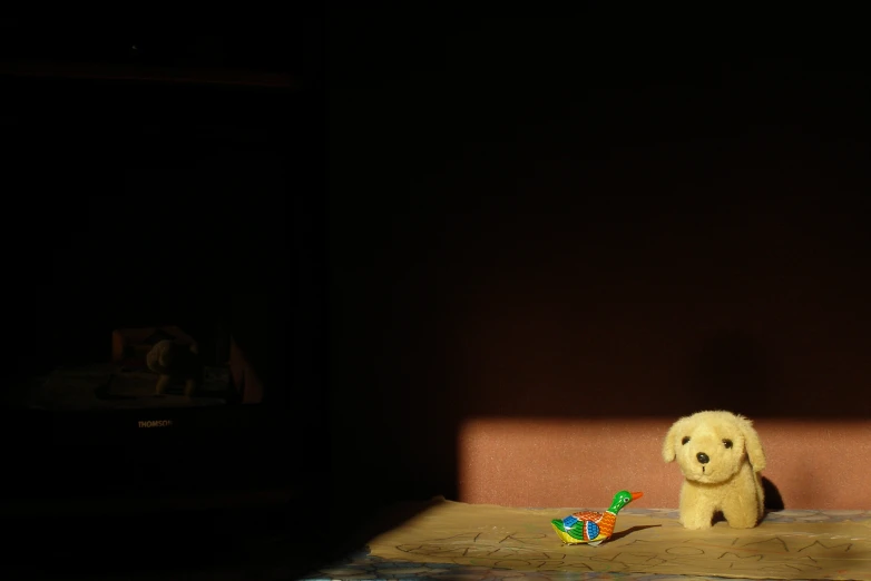 a little puppy playing with a colorful toy