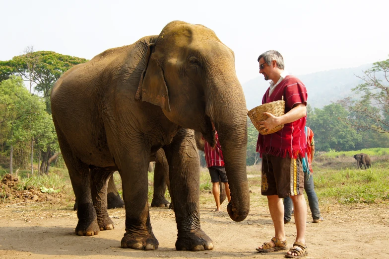 a couple of people who are petting an elephant