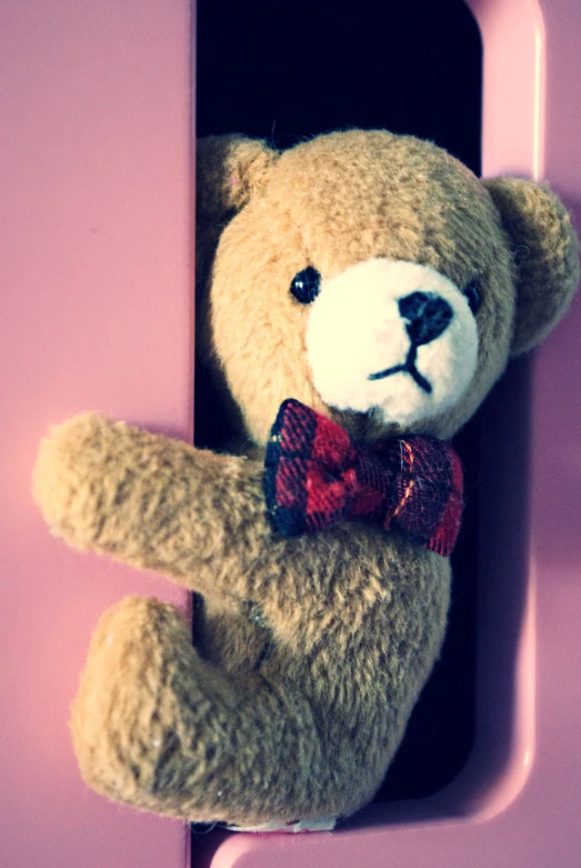 a teddy bear peeking out from behind a pink and purple holder