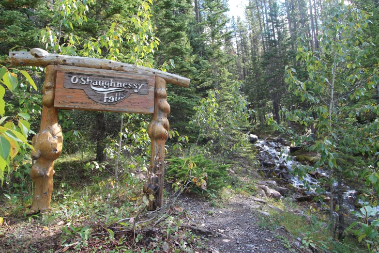 the entrance to old quarry trail is carved with wood