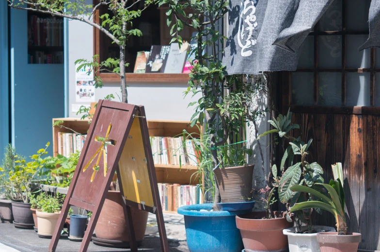 plants are lined up in front of an umbrella