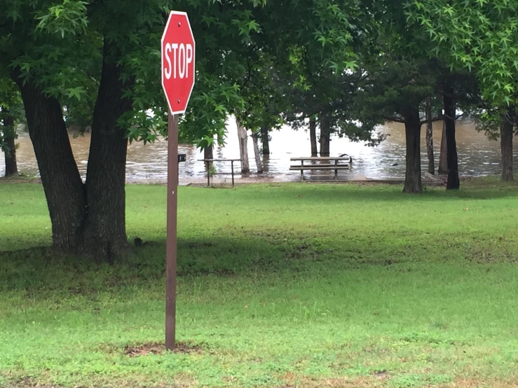 a stop sign stands in a park next to a flooded waterway