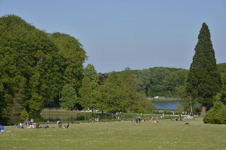 large group of people walking in a park with green grass and trees