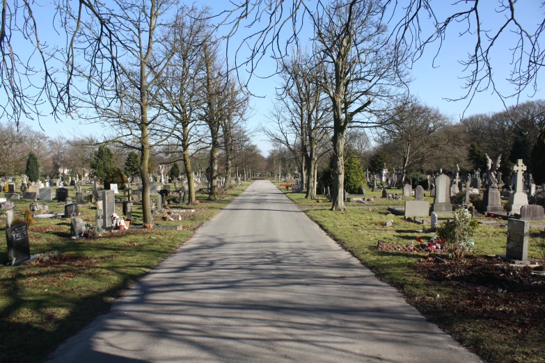 an empty road surrounded by trees and graves