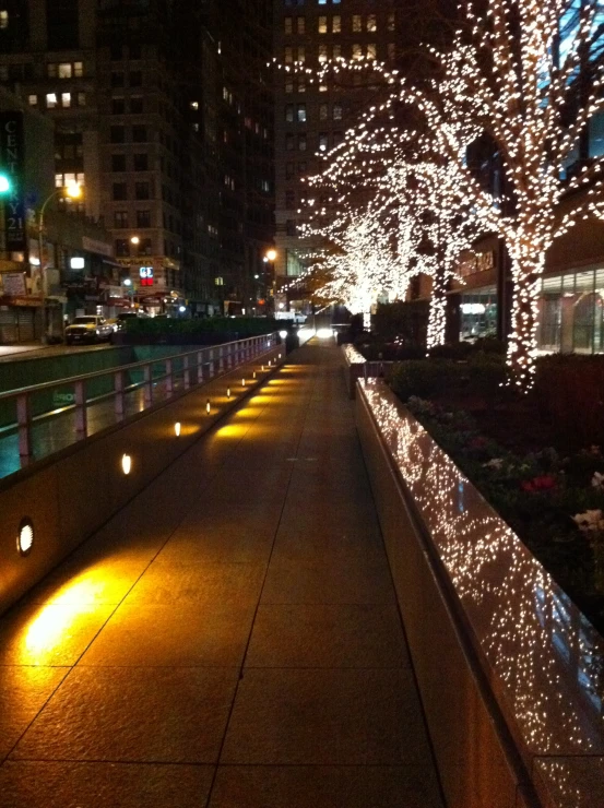 a walkway at night with a large christmas tree lit up and buildings in the background