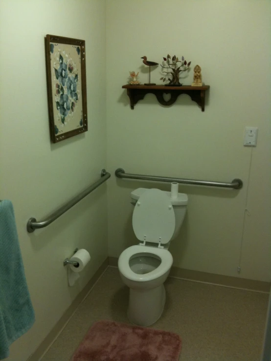 a bathroom with a toilet and a red rug