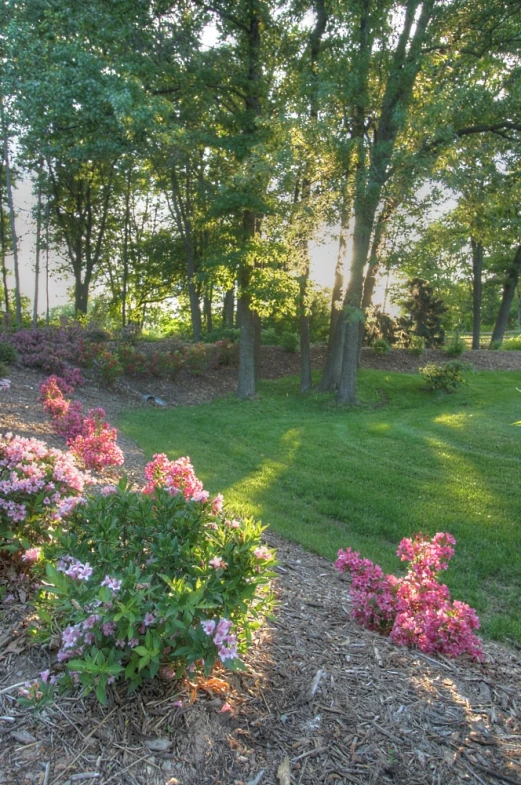 a beautiful park setting with flowers in the foreground