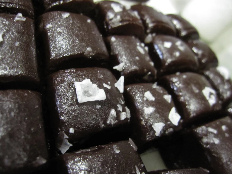 a close up of several squares of brownies
