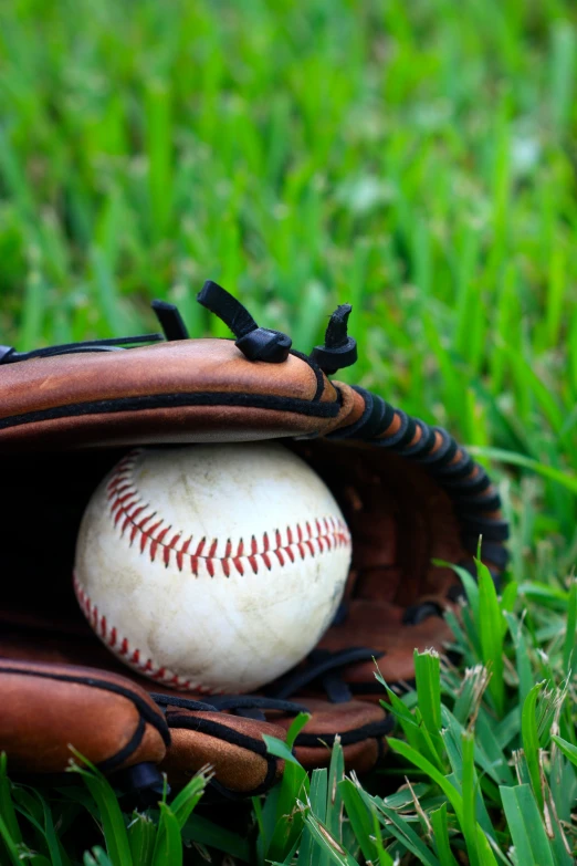 the base ball is resting in a baseball mitt