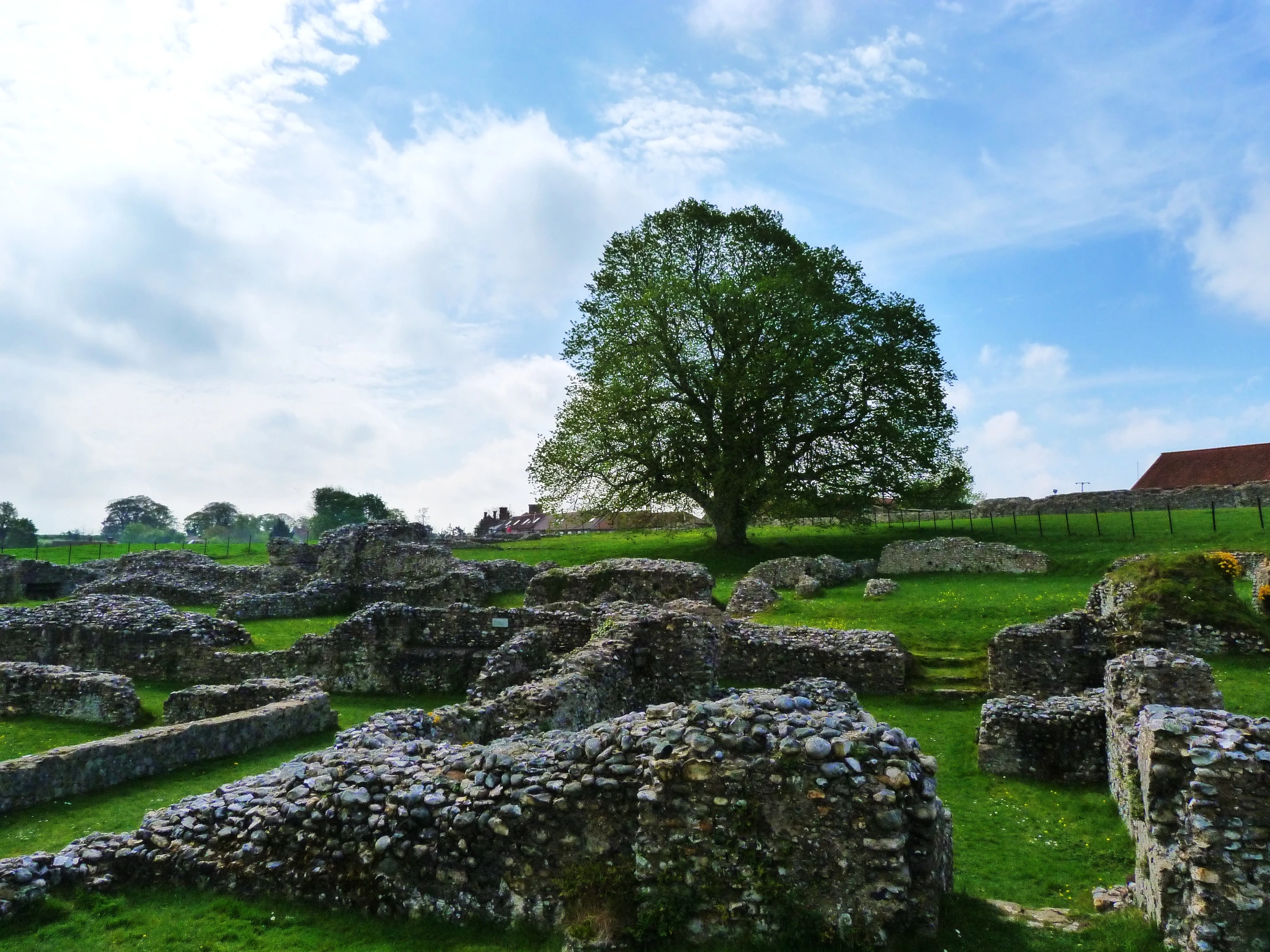 large stones with grass and tree in background