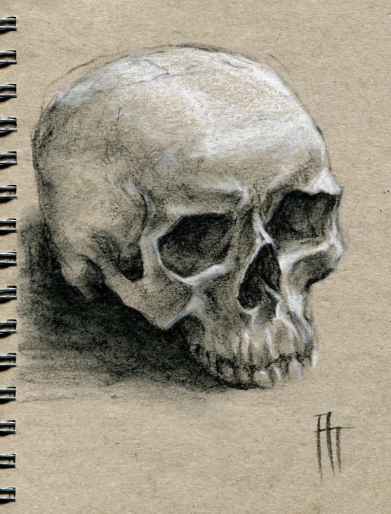 a pencil drawing of a human skull on top of a piece of paper