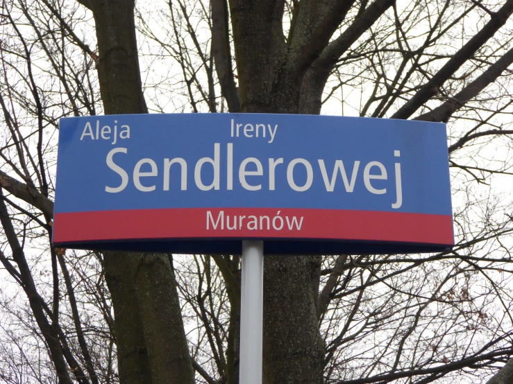 a blue street sign with words written on it