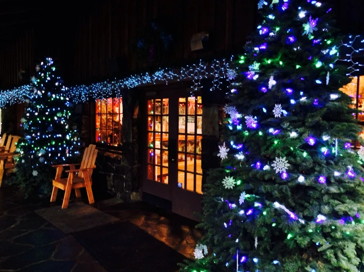 christmas lights in front of the doors and windows