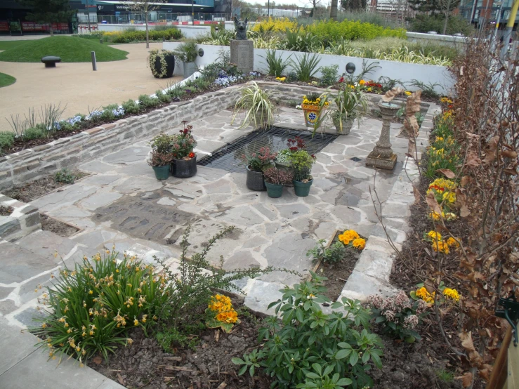 the front garden is filled with lots of different plants