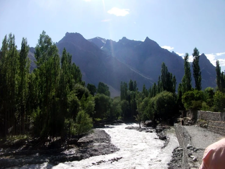 a small river with many trees in front of mountains