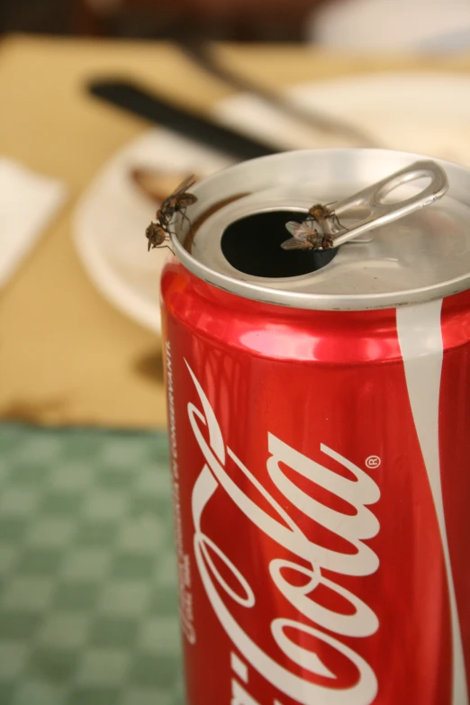 a red can of soda with a toothpick sticking out of it