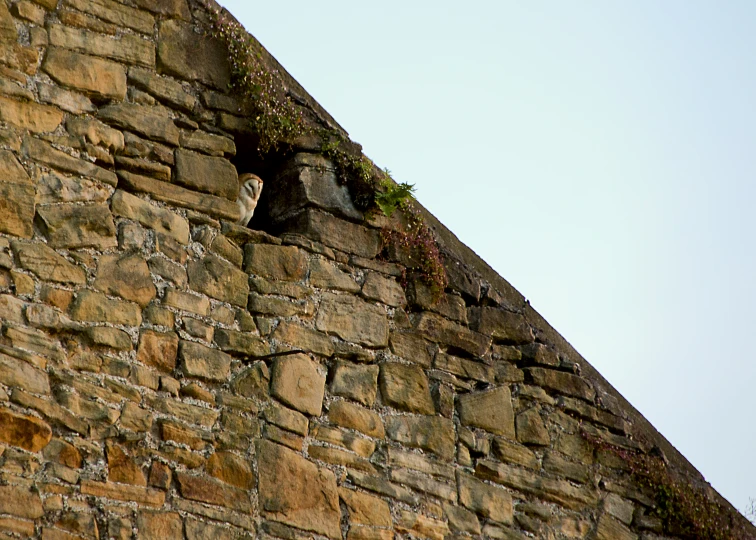 a brick building with stone walls has flowers growing on the side