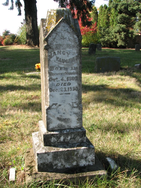 there is a headstone that is surrounded by grass and trees