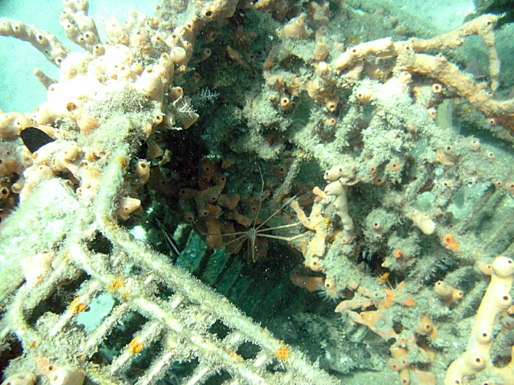 an underwater image of a rock under water