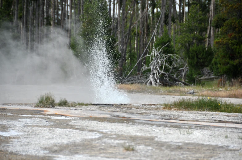 a person riding a horse while spraying water on them