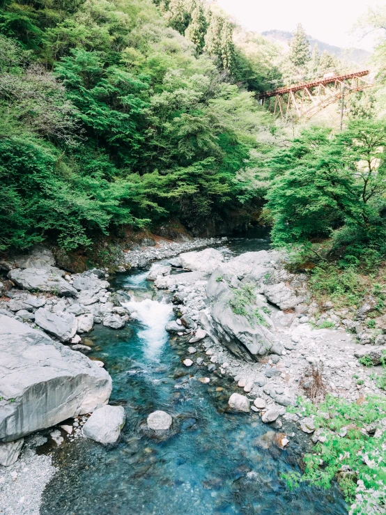 the river is next to trees in a hilly area