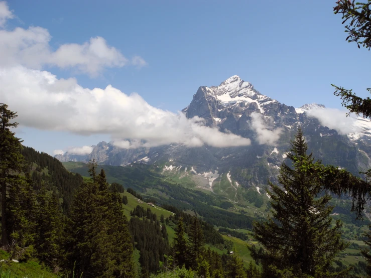 a large mountain covered in clouds and surrounded by trees