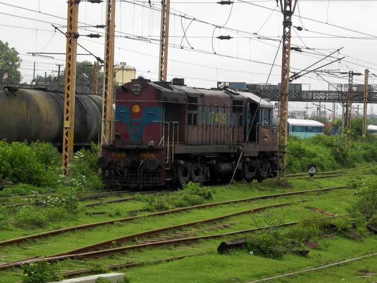 a train travels on a train track through an overgrown area