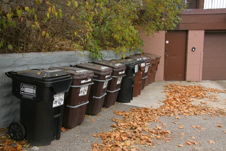 a row of trash cans outside a building