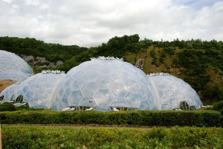 domes are surrounded by bushes and plants