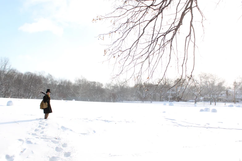 woman walking on the snow towards a group of trees