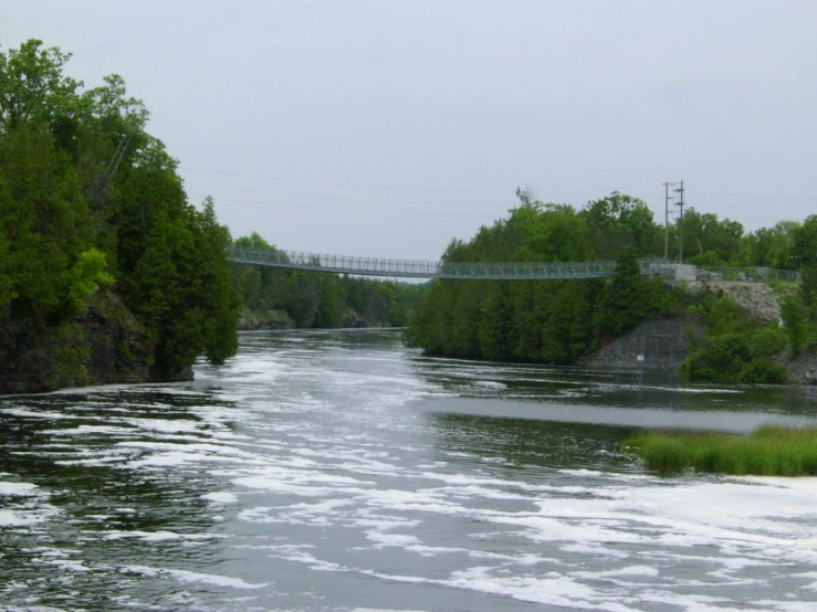 water moving through a wide river surrounded by trees