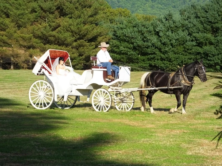 a horse drawn carriage with a couple in it on the grass