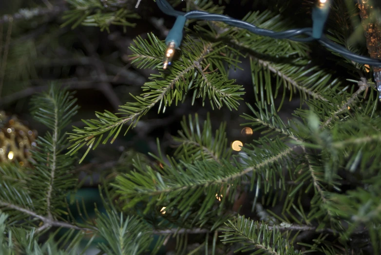 a close up view of a christmas tree with lights