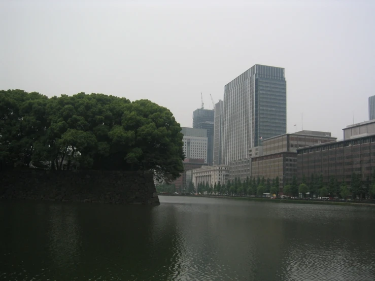 view of city from across the river in a cloudy day