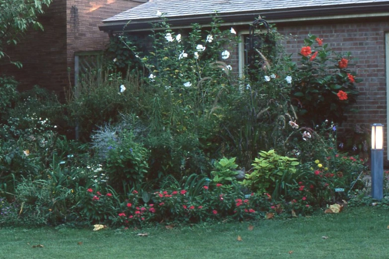 garden with several different colored flowers by a brick house