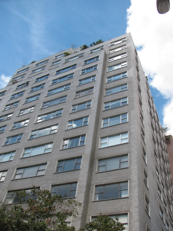 the view of a tall building from the street