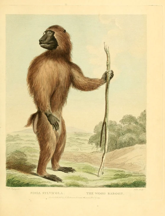 an animal in costume and holding onto a tree nch