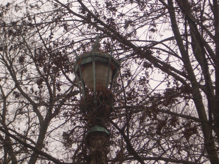 the lamp is in the center of the tree