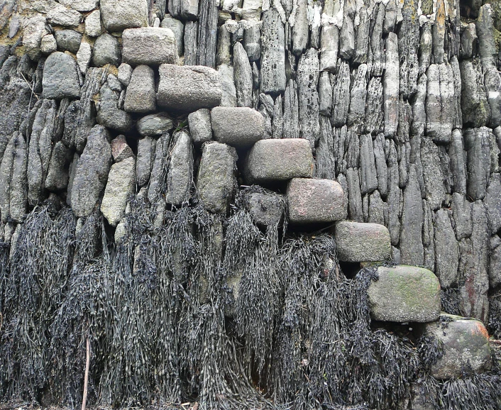 a rock formation with many layers of rocks and grasses