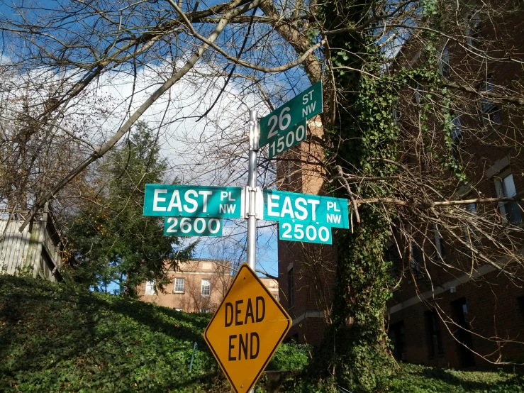 street signs in front of brick buildings on a hill