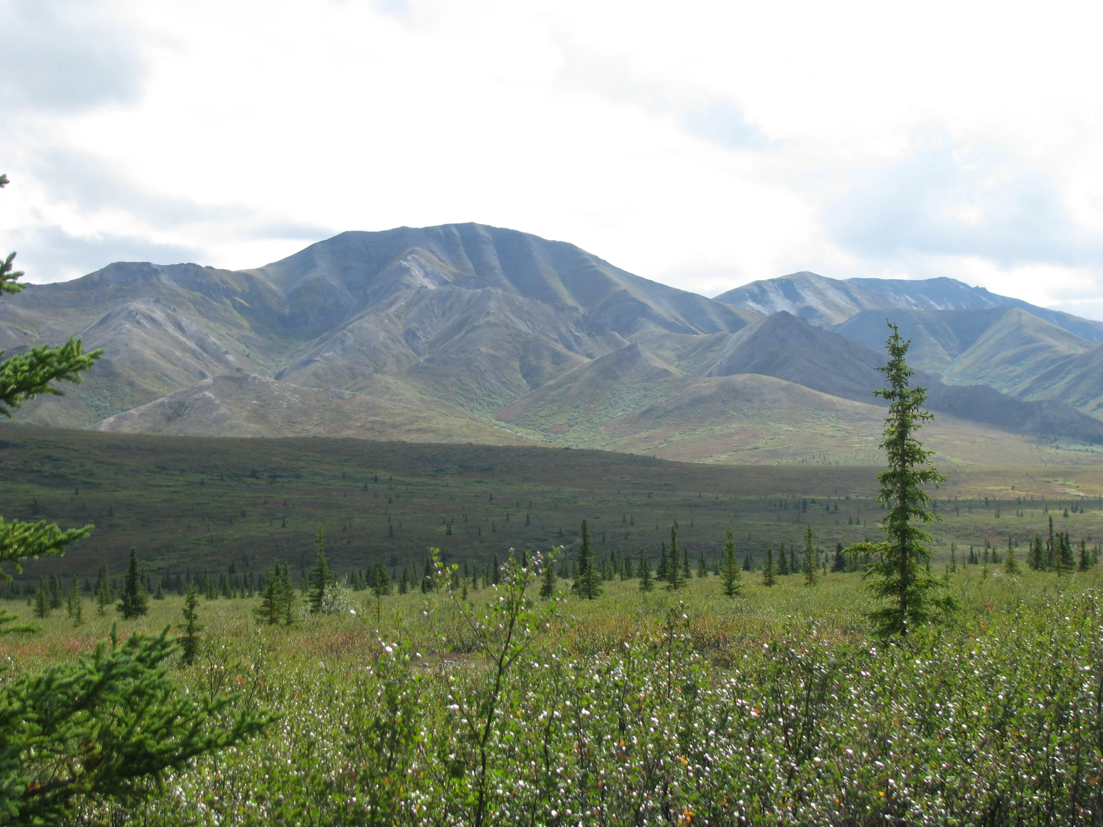 a po of some mountains with trees around