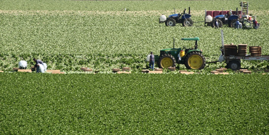 a tractor and people in a field with a tractor