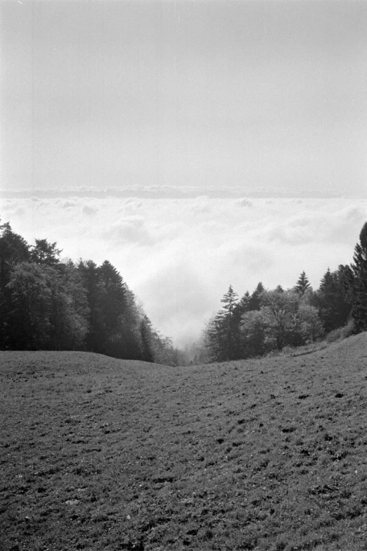 black and white pograph of the fog rolling in