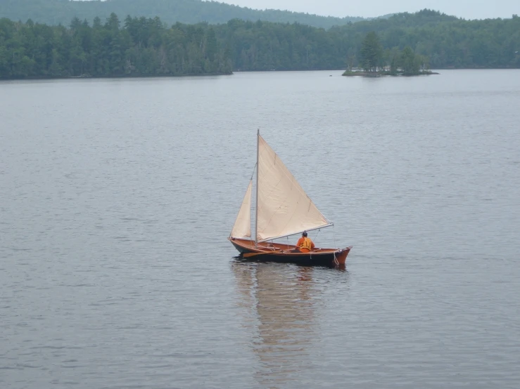 a sail boat on calm water near some trees