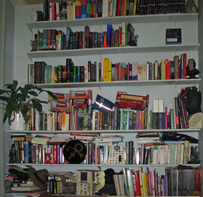 there are many books and books on this shelving unit
