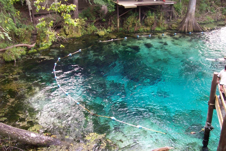 a blue pond is in the middle of a forest with water surrounding it