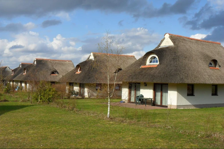 some buildings with thatched roofs sitting next to grass