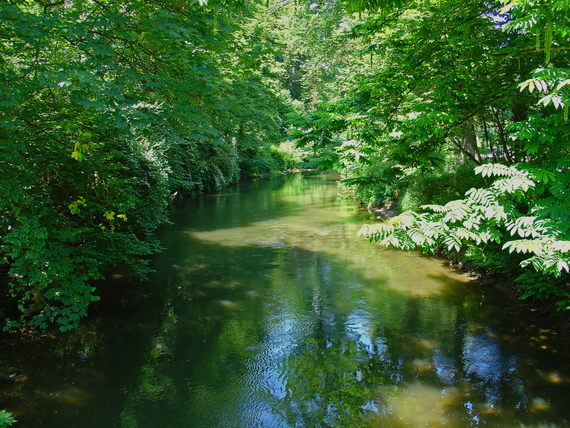 a view down a canal that runs to the park